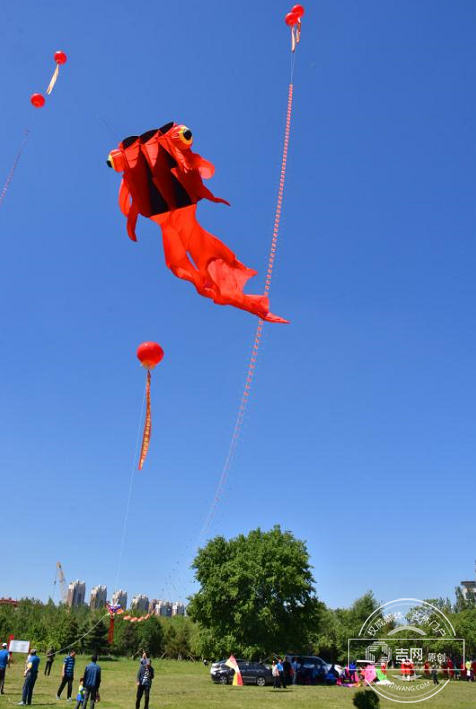 省全民健身风筝展示大会江城开幕 最大“滚地龙”风筝长28米