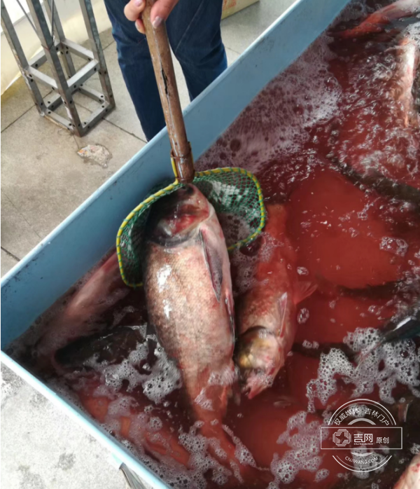 微信截图_20180420154433.png 微信截图_20180420154433.png