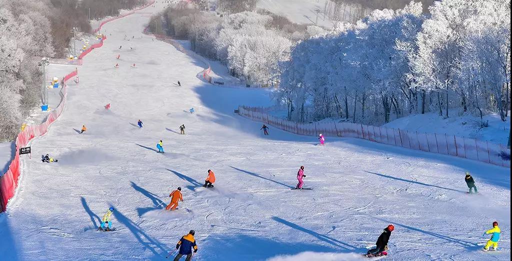 2万元请的滑雪教练不会正确穿雪鞋 专爱游戏- 爱游戏体育- AYX爱游戏体育官方网站家：收费标准不透明缺少行业规范约束