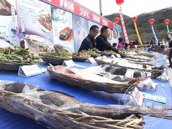 松花湖鱼类资源及山野菜展示展卖