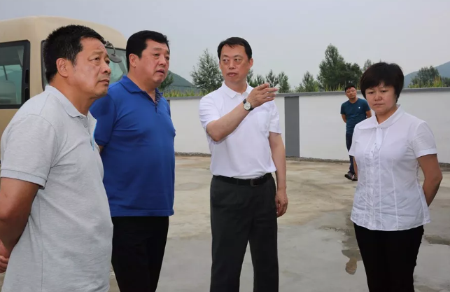 吉林市人大代表来磐视察美丽乡村建设情况-吉