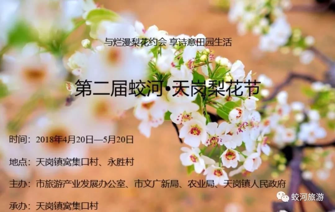 快来参加第二届蛟河天岗梨花节吧!