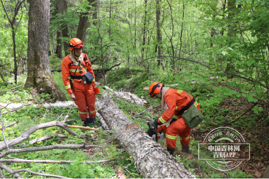 吉林市森林消防支队蛟河大队 进山入林亮出"专业范儿"