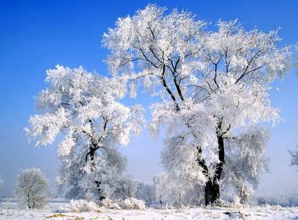 W020130718503099652419.jpg W020130718503099652419.jpg