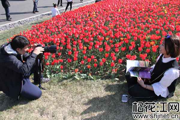 英歌石植物园内鲜花如海.jpg